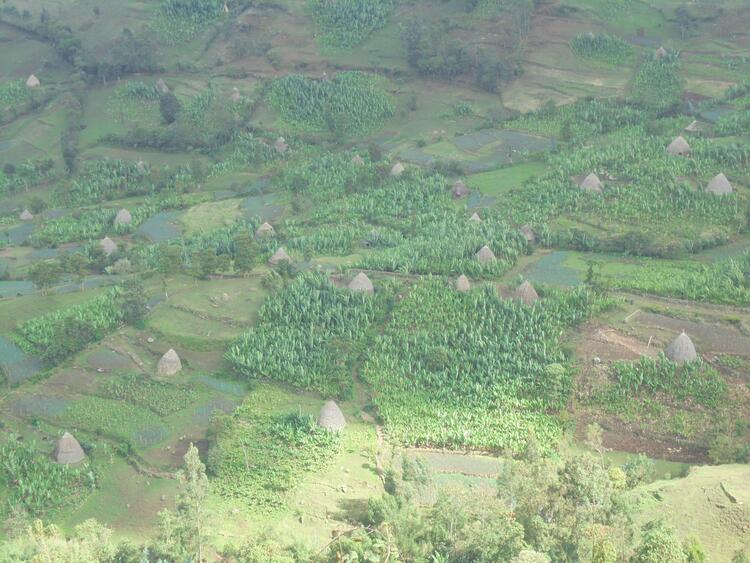 Zawiti Beshunchaara