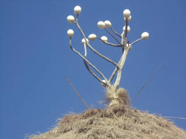 Zawa Be phuphuliyaara