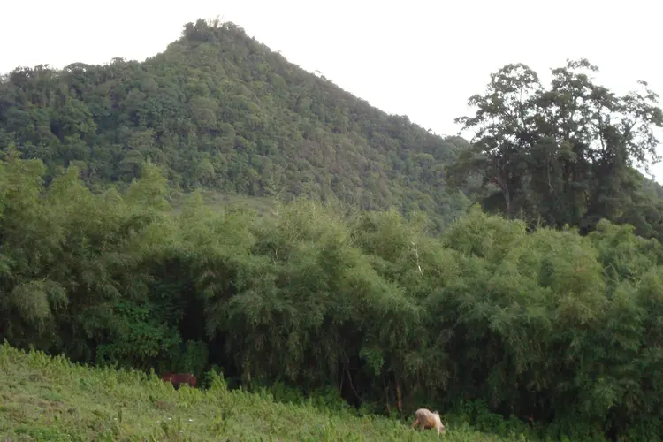 Ganna Gomole Woyiishe